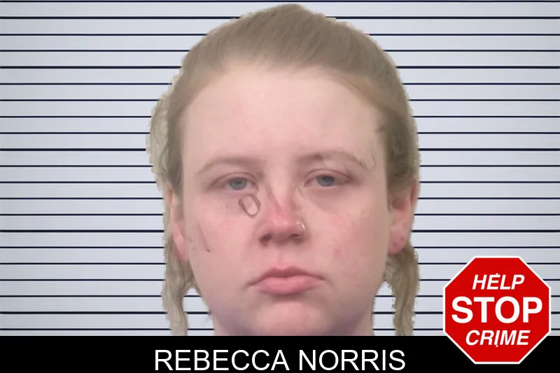 Rebecca Norris mugshot