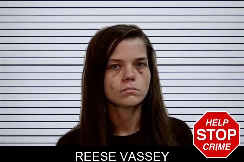 Reese Vassey mugshot