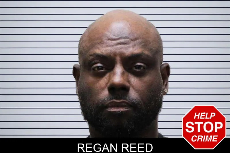 Regan Reed mugshot