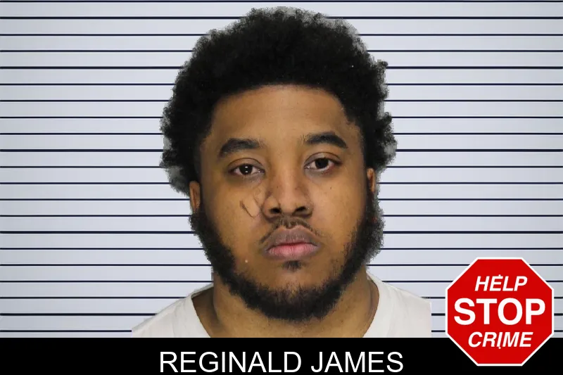 Reginald James mugshot
