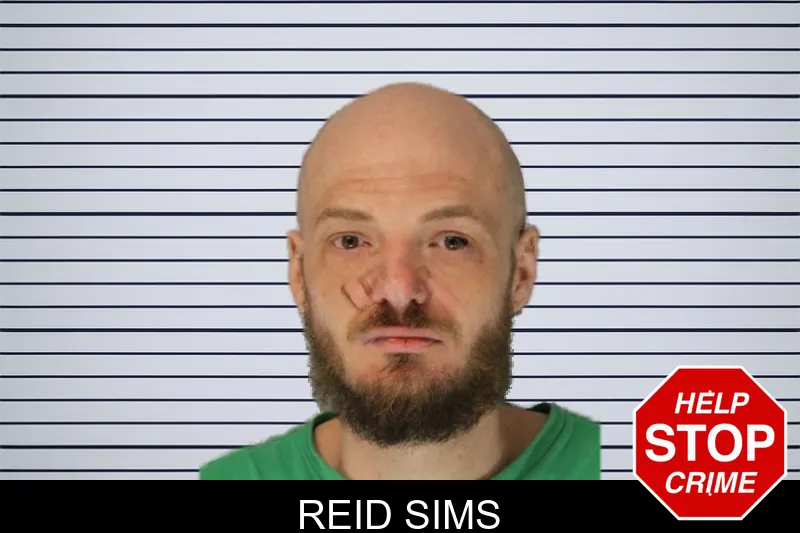 Reid Sims mugshot