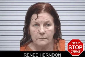 Renee Herndon mugshot