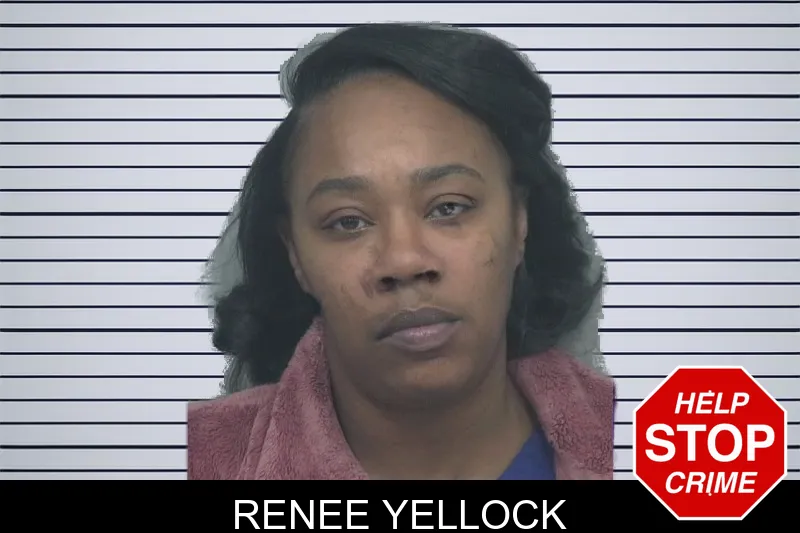 Renee Yellock mugshot