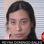Reyna Domingo-Sales mugshot