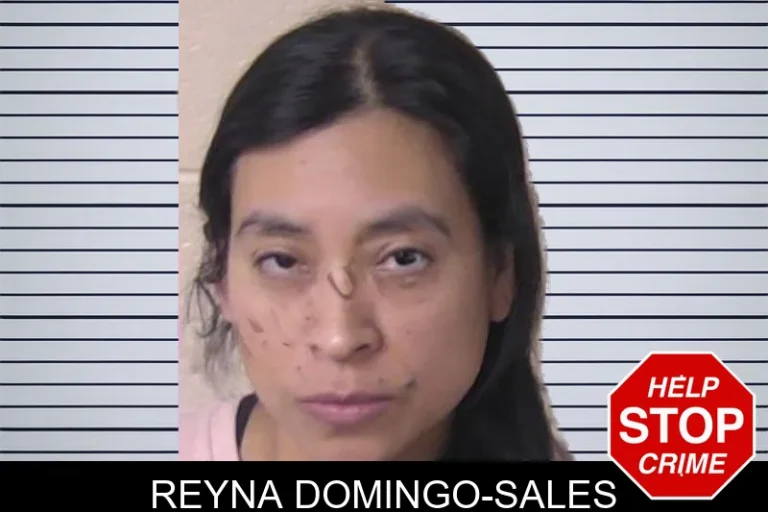 Reyna Domingo-Sales