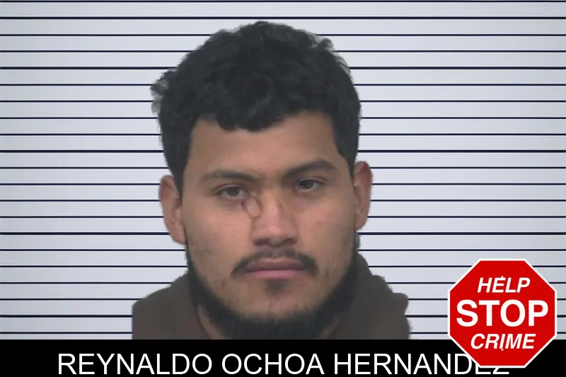 Reynaldo Ochoa Hernandez mugshot – Gwinnett County , Georgia Reynaldo Ochoa Hernandez mugshot