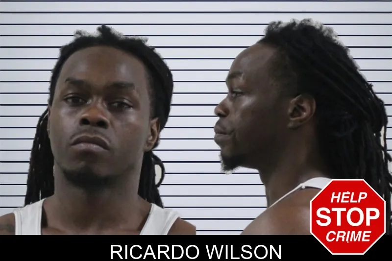 Ricardo Wilson mugshot – Houston County , Georgia Ricardo Wilson mugshot