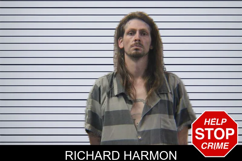 Richard Harmon mugshot