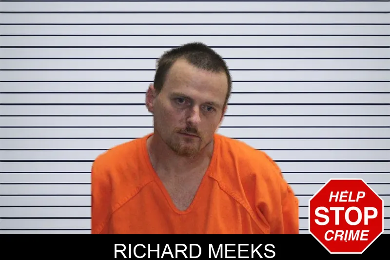 Richard Meeks mugshot