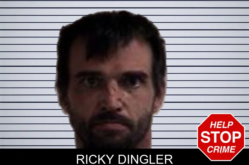 Ricky Dingler mugshot