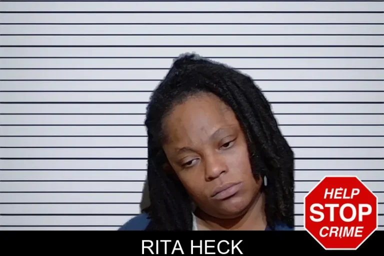 Rita Heck mugshot – Glynn County , Georgia Rita Heck