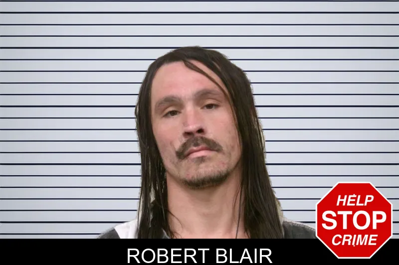 Robert Blair mugshot – Bulloch County , Georgia Robert Blair mugshot