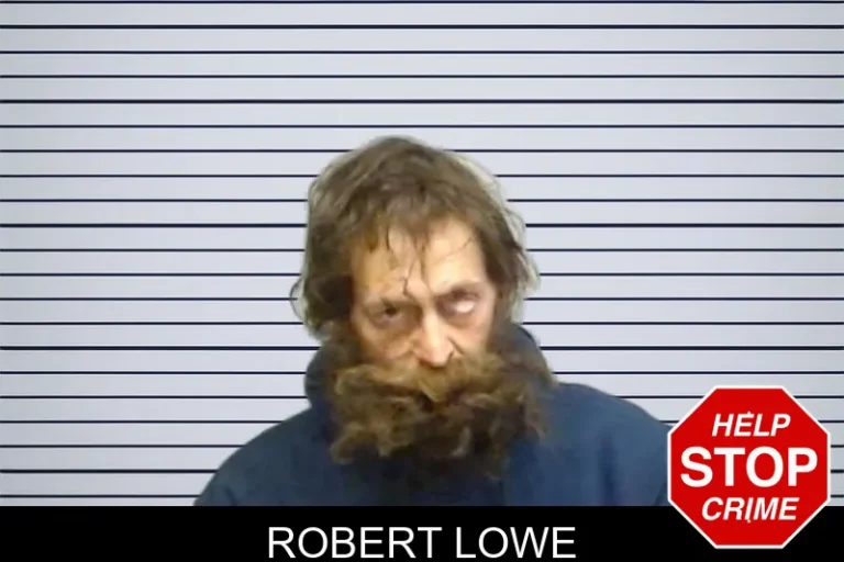 Robert Lowe
