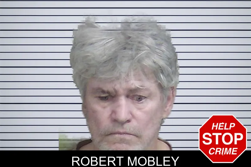 Robert Mobley mugshot – Wayne County , Georgia Robert Mobley mugshot