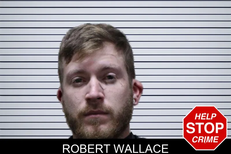 Robert Wallace mugshot