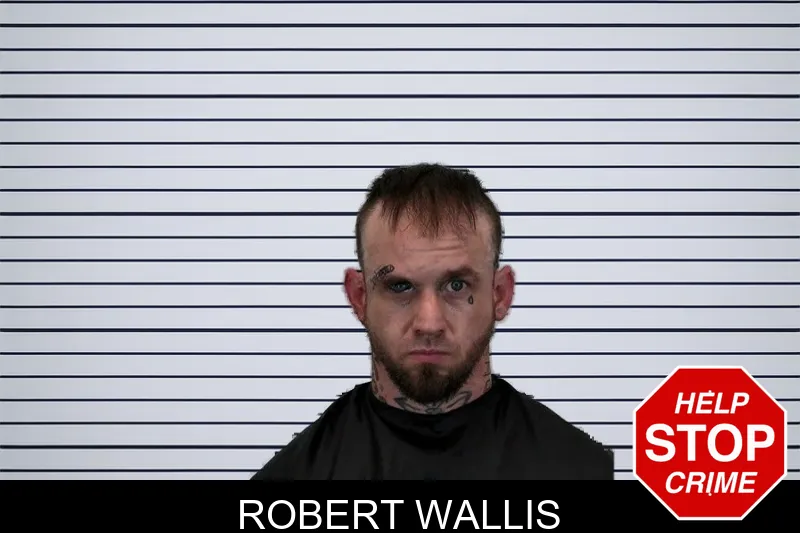 Robert Wallis mugshot – Hart County , Georgia Robert Wallis mugshot
