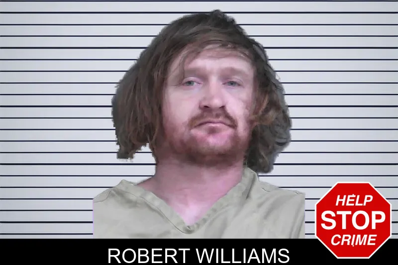 Robert Williams mugshot