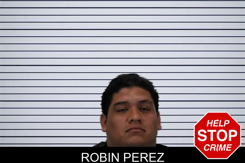 Robin Perez mugshot