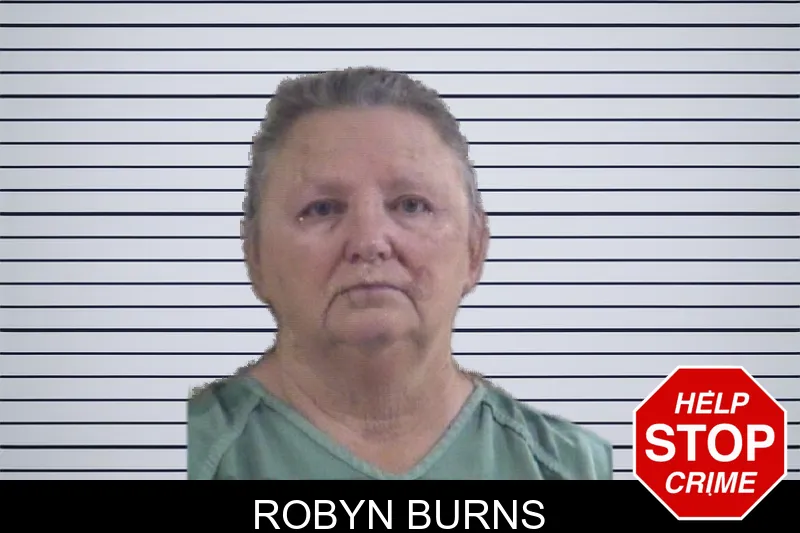 Robyn Burns mugshot – Whitfield County , Georgia Robyn Burns mugshot