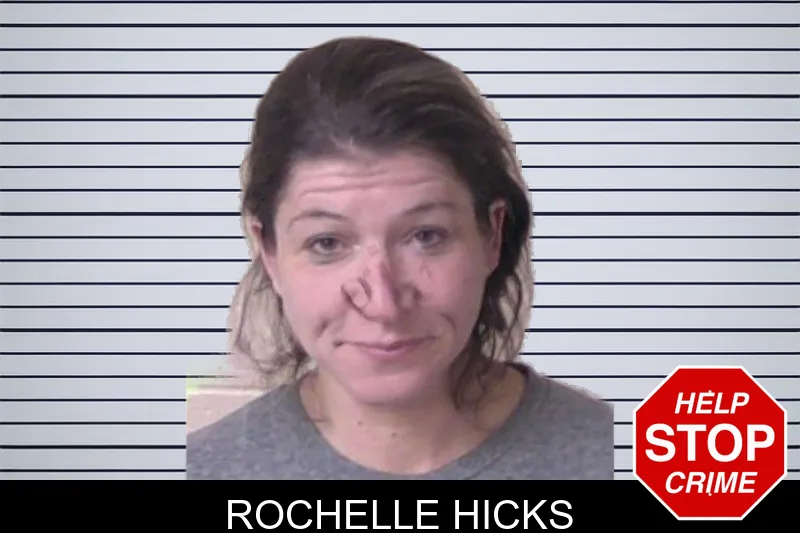 Rochelle Hicks mugshot