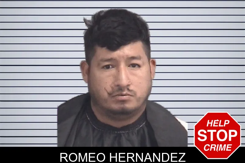 Romeo Hernandez mugshot
