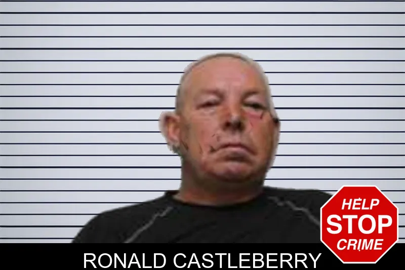 Ronald Castleberry mugshot
