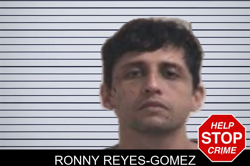 Ronny Reyes-Gomez mugshot