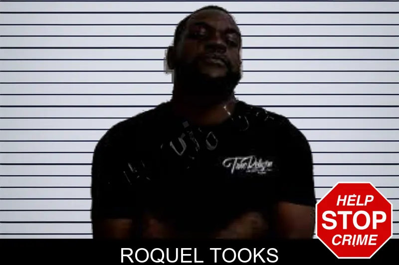 Roquel Tooks mugshot – Decatur County , Georgia Roquel Tooks mugshot