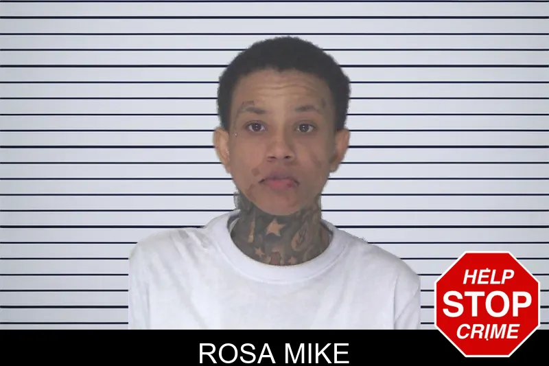 Rosa Mike mugshot