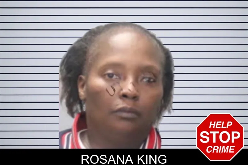 Rosana King mugshot