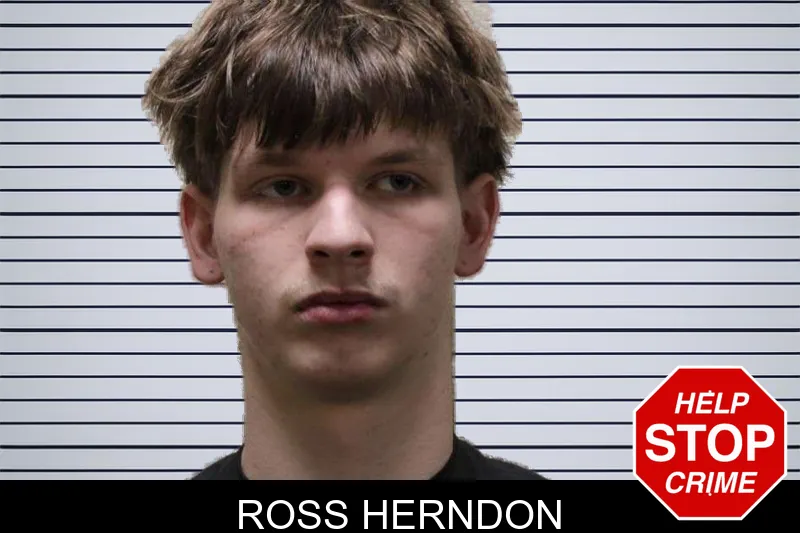 Ross Herndon mugshot – Haralson County , Georgia Ross Herndon mugshot