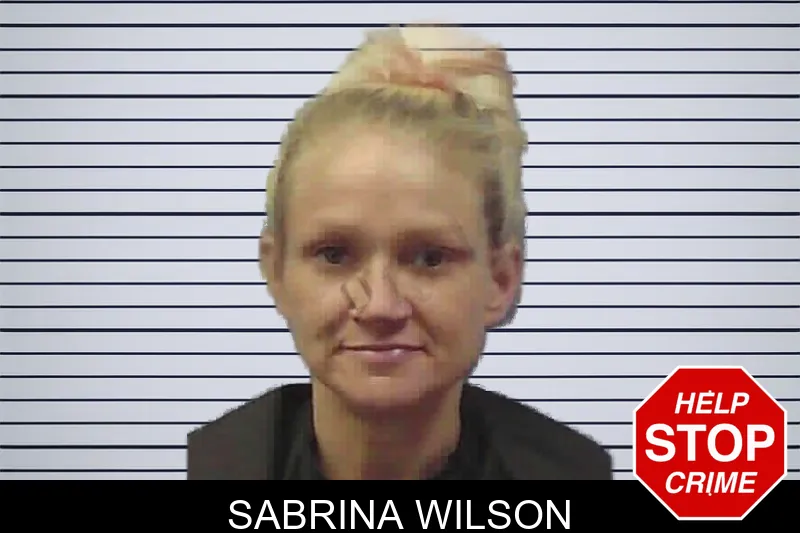 Sabrina Wilson mugshot