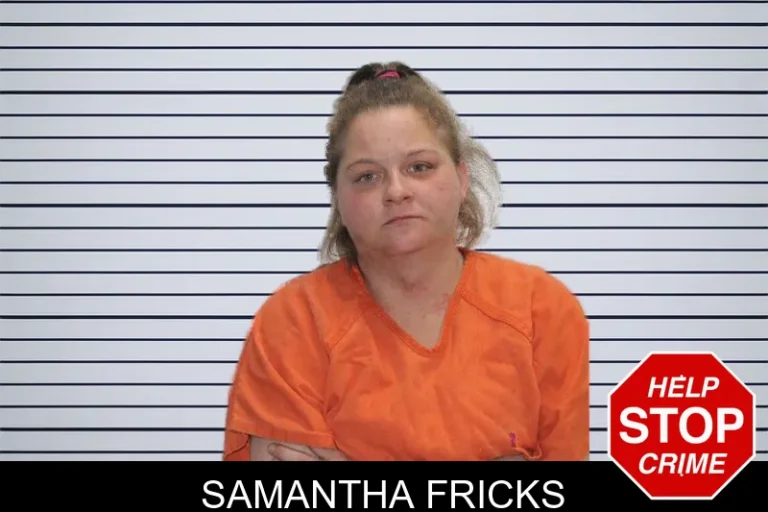 Samantha Fricks mugshot – Murray County , Georgia Samantha Fricks
