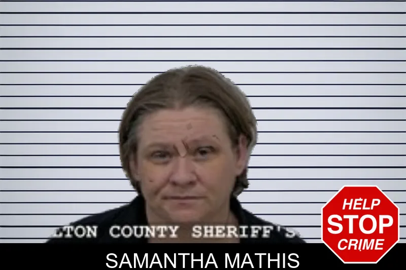 Samantha Mathis mugshot