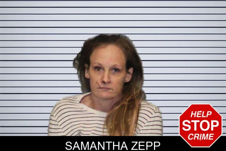 Samantha Zepp mugshot – White County , Georgia Samantha Zepp