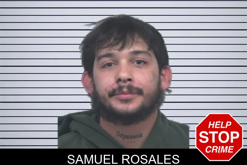 Samuel Rosales mugshot – Gwinnett County , Georgia Samuel Rosales mugshot
