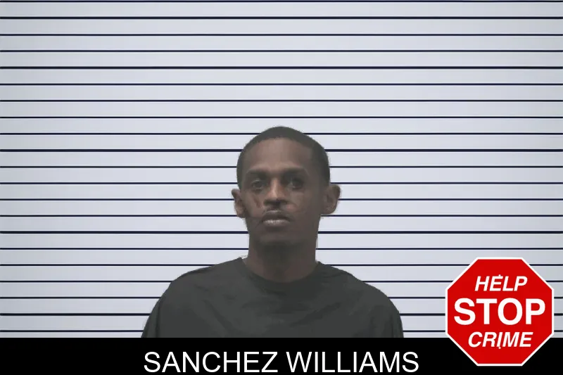 Sanchez Williams mugshot