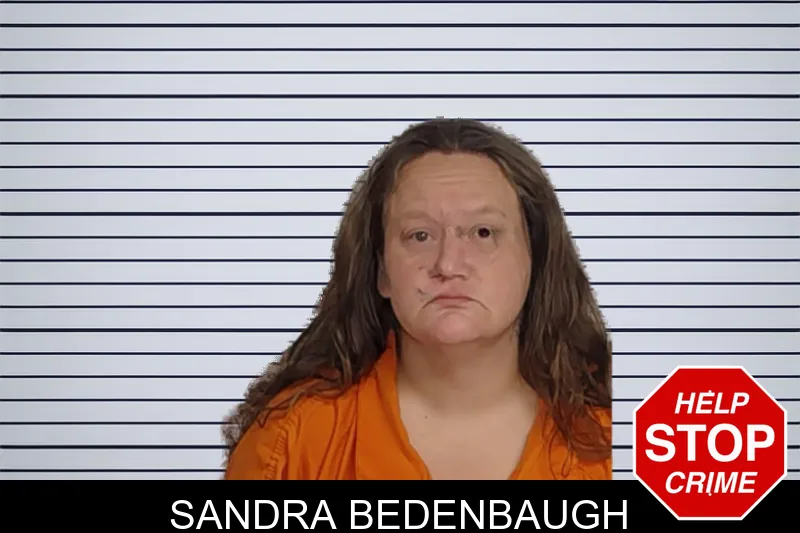 Sandra Bedenbaugh mugshot