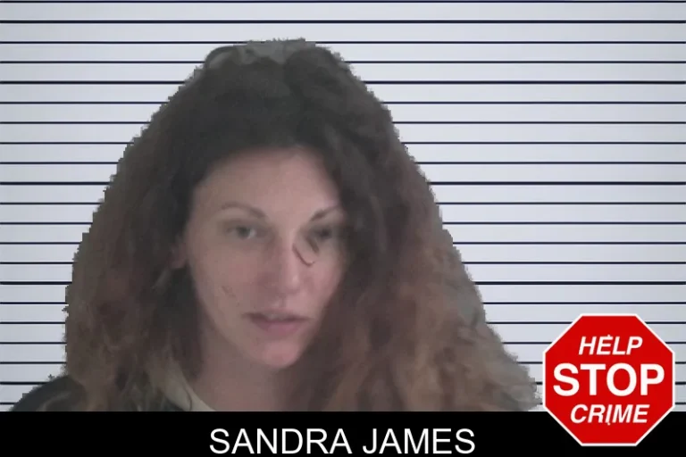 Sandra James
