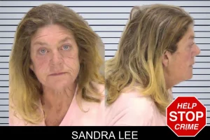 Sandra Lee mugshot