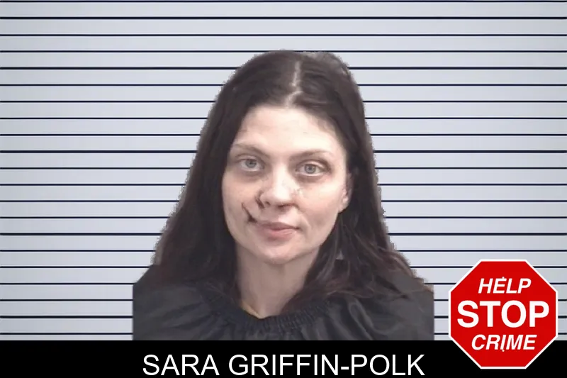Sara Griffin-Polk mugshot