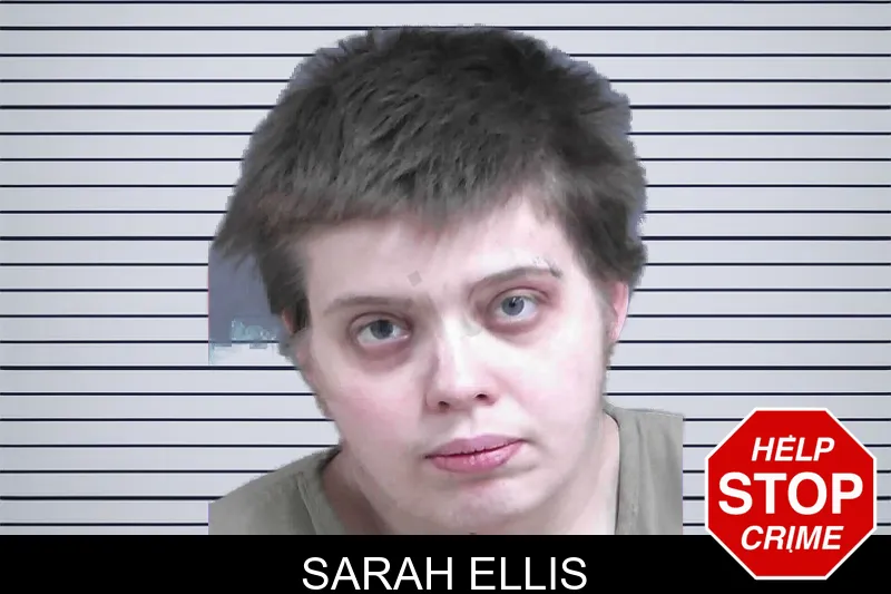 Sarah Ellis mugshot
