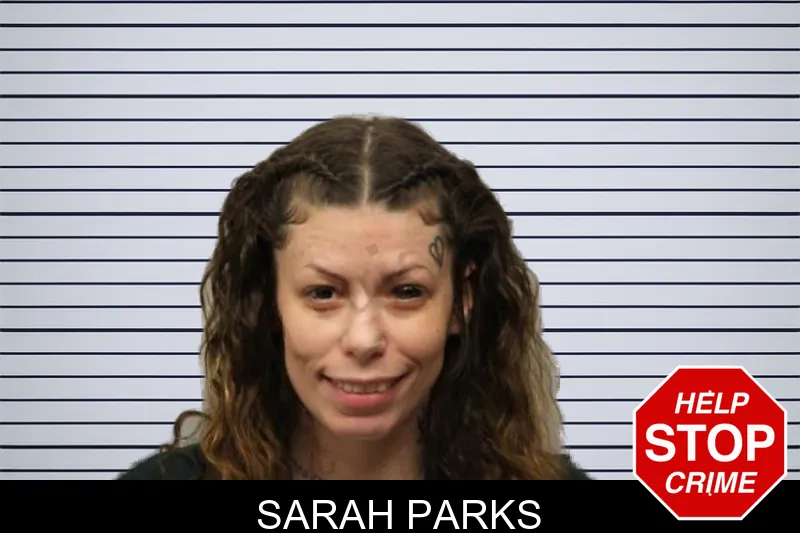 Sarah Parks mugshot – Chatham County , Georgia Sarah Parks mugshot