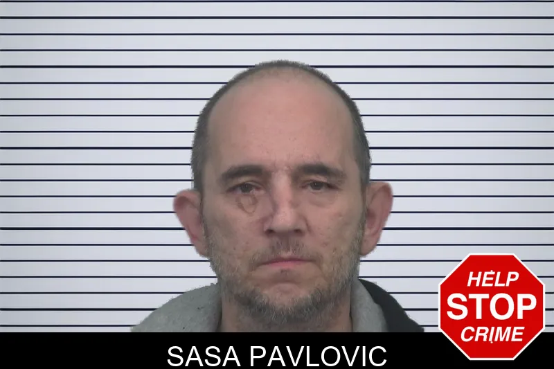 Sasa Pavlovic mugshot