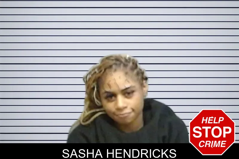 Sasha Hendricks mugshot