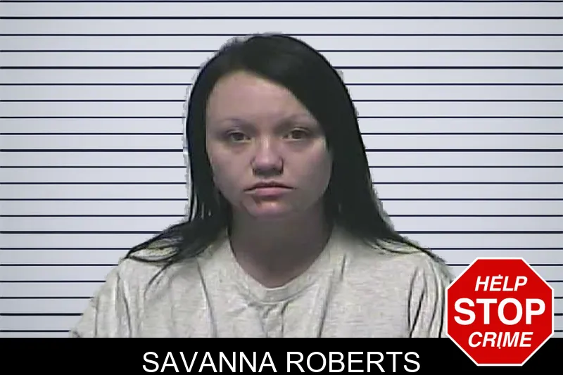 Savanna Roberts mugshot – Dawson County , Georgia Savanna Roberts mugshot