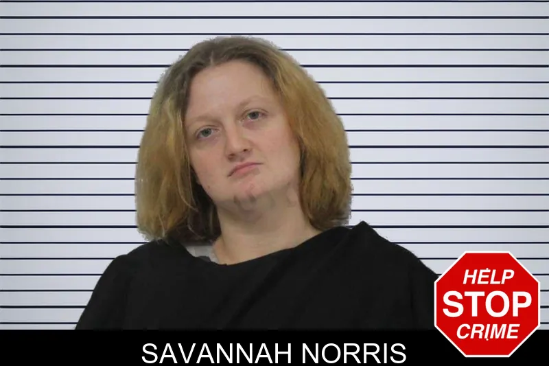 Savannah Norris mugshot