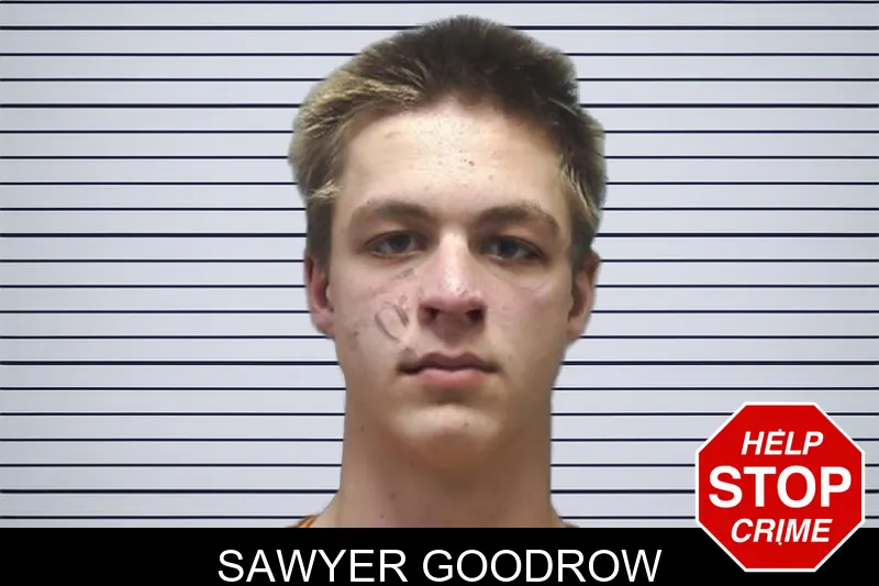 Sawyer Goodrow mugshot – Cherokee County , Georgia Sawyer Goodrow mugshot