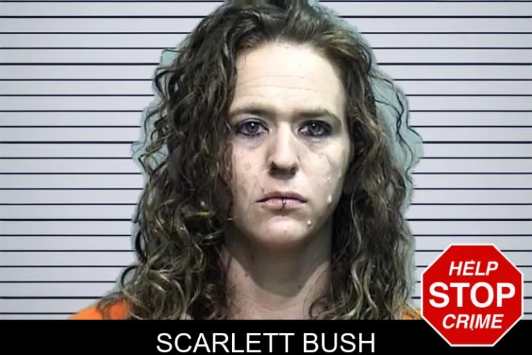 Scarlett Bush mugshot – Effingham County , Georgia Scarlett Bush