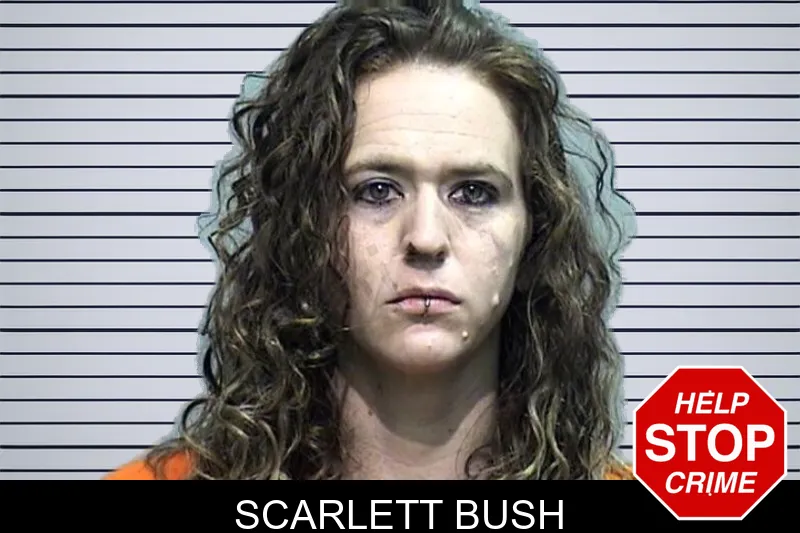 Scarlett Bush mugshot – Effingham County , Georgia Scarlett Bush mugshot